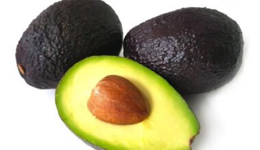 অ্যাভোকাডো