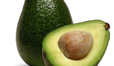 অ্যাভোকাডো