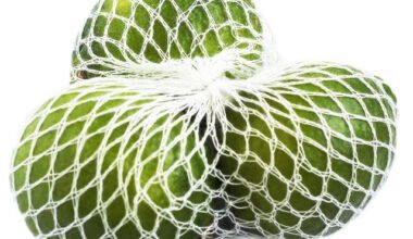 রাম্বুটান