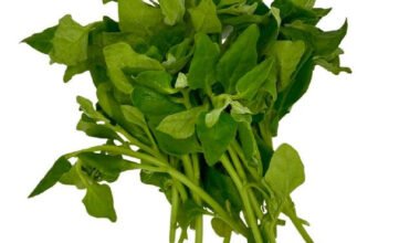 ফ্রেশ  পালং শাক